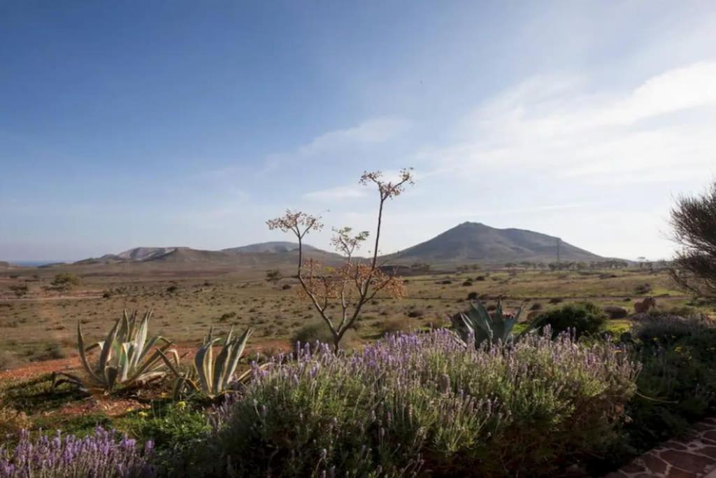 El Risco Colorado, Cabo De Gata Villa Rodalquilar Eksteriør billede
